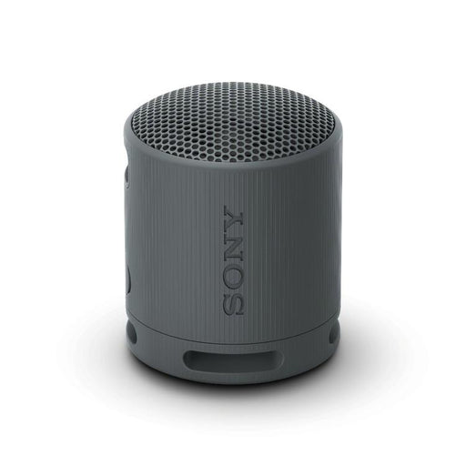 Sony SRS-XB100 | Portable speaker - Wireless - Bluetooth - IP67 - Black-SONXPLUS Victoriaville